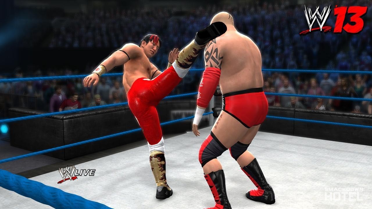 WWE13_YoshiTensai-2041-720.jpg