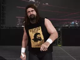 WWE2K17 CactusJack 2