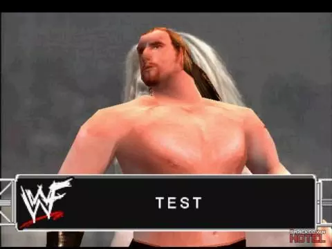 SmackDown Test 2