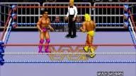 WWF RoyalRumble 1993 HulkHogan TheModel