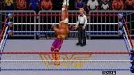 WWF RoyalRumble 1993 TheNarcissist Crush 3