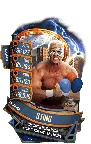 SuperCard Sting S5 24 Shattered Summer