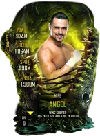 SuperCard Angel S8 42 Mire