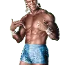 WWE13 Render BillyGunn