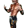 WWE13 Render HeathSlater