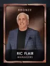 4 managers 4 ricflairseries 1 ricflair