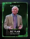 4 managers 4 ricflairseries 4 ricflair