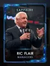 4 managers 4 ricflairseries 5 ricflair