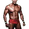 WWE13 Render TedDiBiase