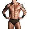 WWE13 Render WadeBarrett