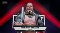 aew fight forever chris jericho
