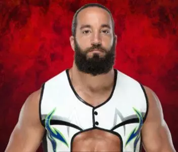 Tony Nese - WWE Universe Mobile Game Roster Profile