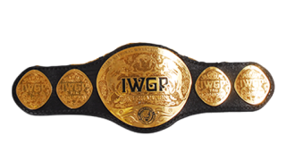 Iwgp tag team championship