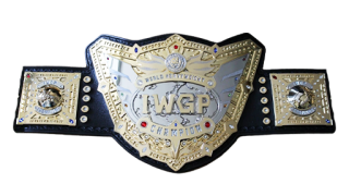 Iwgp world heavyweight championship