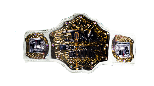 TNA World Heavyweight Championship (unofficial) - Title History
