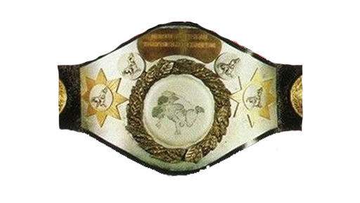 WWF North American Heavyweight Championship