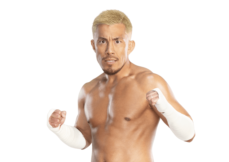 Akira Tozawa - Pro Wrestler Profile