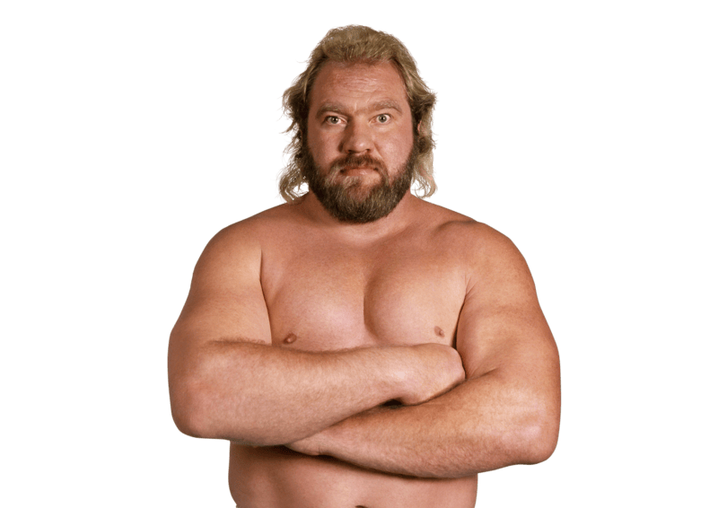 Big John Studd - Pro Wrestler Profile