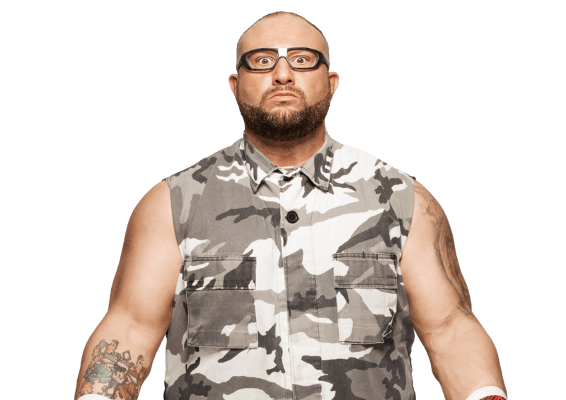 Bubba Ray Dudley / Bully Ray - Pro Wrestler Profile