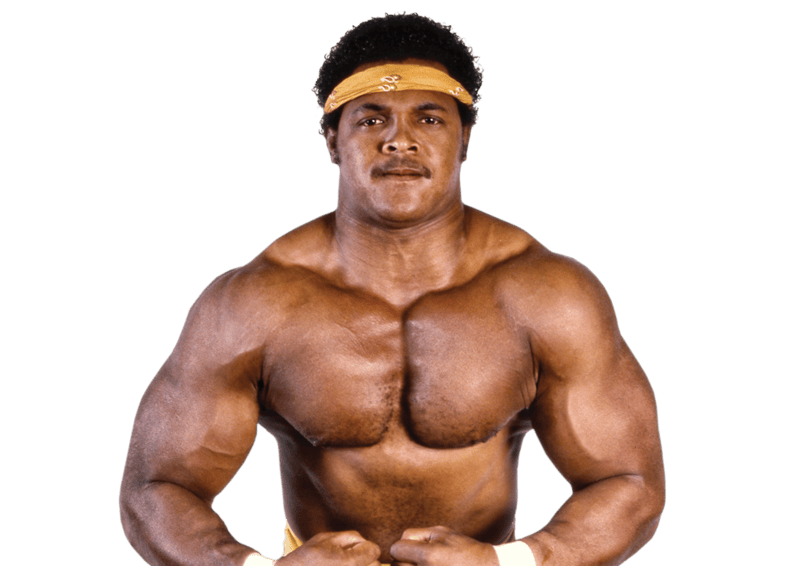 Butch Reed - Pro Wrestler Profile
