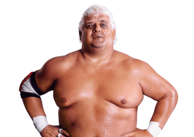 Dusty Rhodes - Pro Wrestler Profile