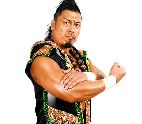 Shingo Takagi - Pro Wrestler Profile
