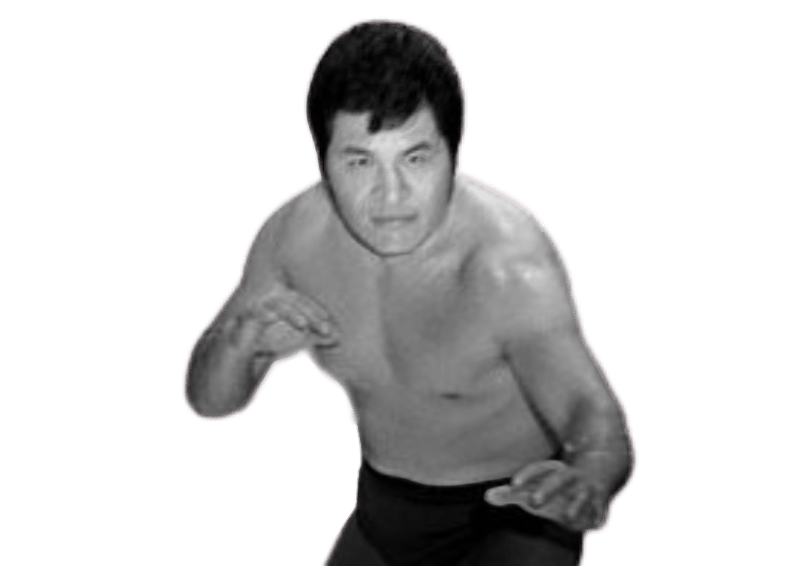 Shoji Kai - Pro Wrestler Profile