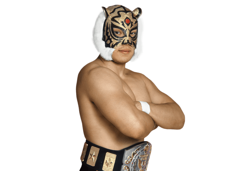 Tiger Mask - Pro Wrestler Profile