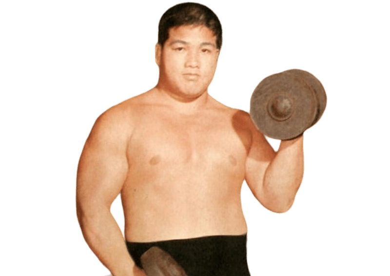 Toyonobori - Pro Wrestler Profile