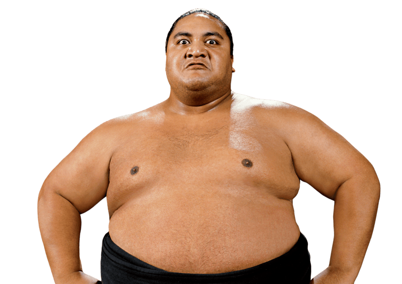 Yokozuna - Pro Wrestler Profile
