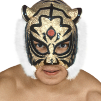 Tiger Mask (I)