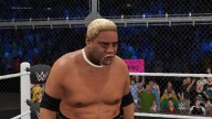 WWE2K17 Rikishi 2