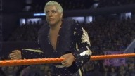 SVR2007 PS2 RicFlair 4