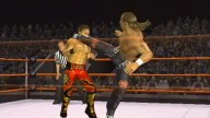 SVR2007 PS2 ShawnMichaels 4