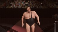 WWE2K17 AndreTheGiant 4