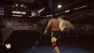 WWE2K17 JakeTheSnakeRoberts 3