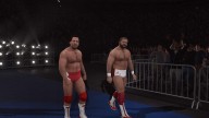 WWE2K17 ArnAnderson LarryZbyszko