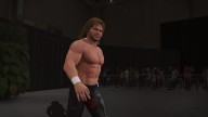 WWE2K17 BrianPillman