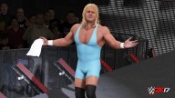 WWE2K17 MrPerfect CurtHennig