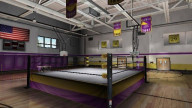 WrestleMania21 Arena 1