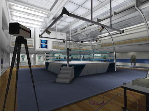 WrestleMania21 Arena 2 WrestleMania21 Arena 2
