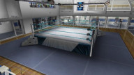 WrestleMania21 Arena 3