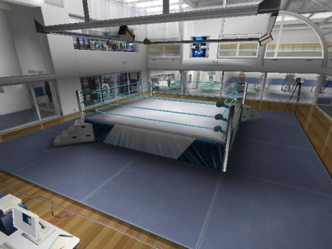 WrestleMania21 Arena 3 WrestleMania21 Arena 3