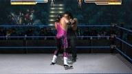 WrestleMania21 BretHart Undertaker 3