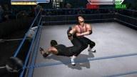 WrestleMania21 BretHart Undertaker 5