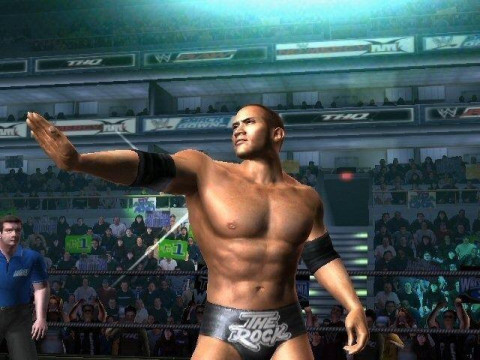WrestleMania21 TheRock WrestleMania21 TheRock