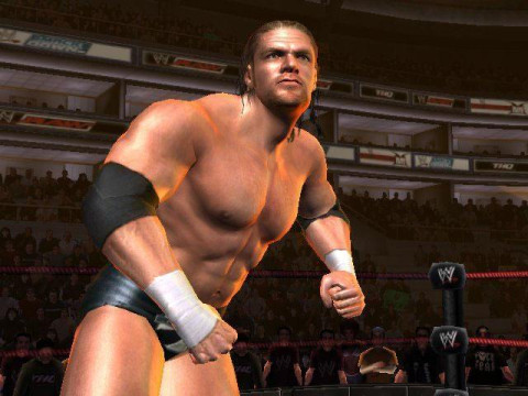 WrestleMania21 TripleH 2 WrestleMania21 TripleH 2