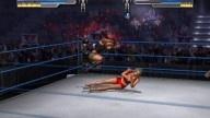 WrestleMania21 Lita TrishStratus 2