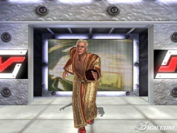 WrestleMania21 RicFlair 2