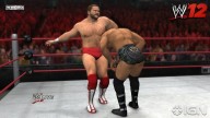 WWE12 ArnAndersonDDT